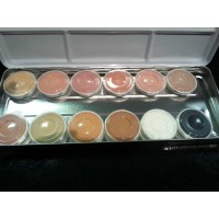 Superstar Skin Tone Palette (Superstar Skin Tone Palette)